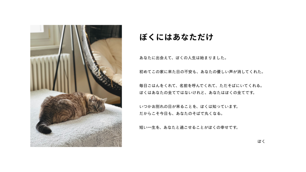 猫と暮らすのトップページ_2