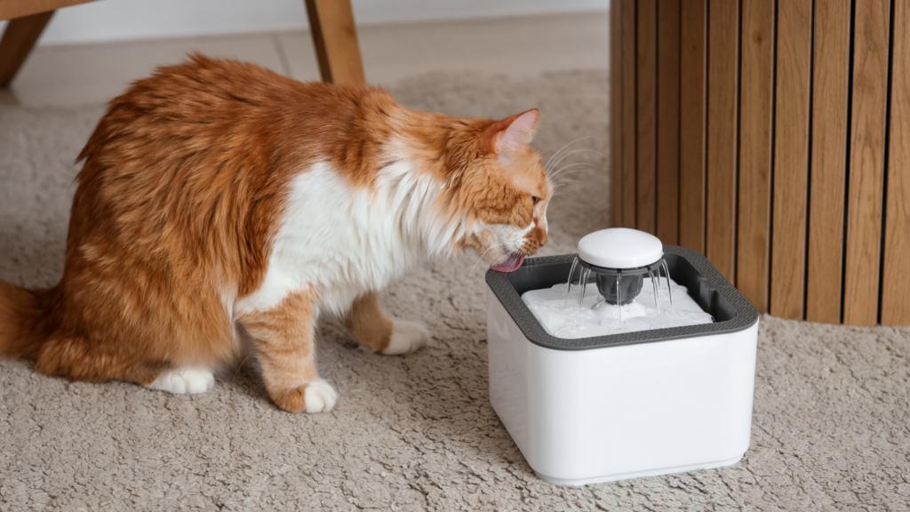 猫用自動給水器おすすめ10選|コードレスやお手入れ簡単な商品を紹介_1