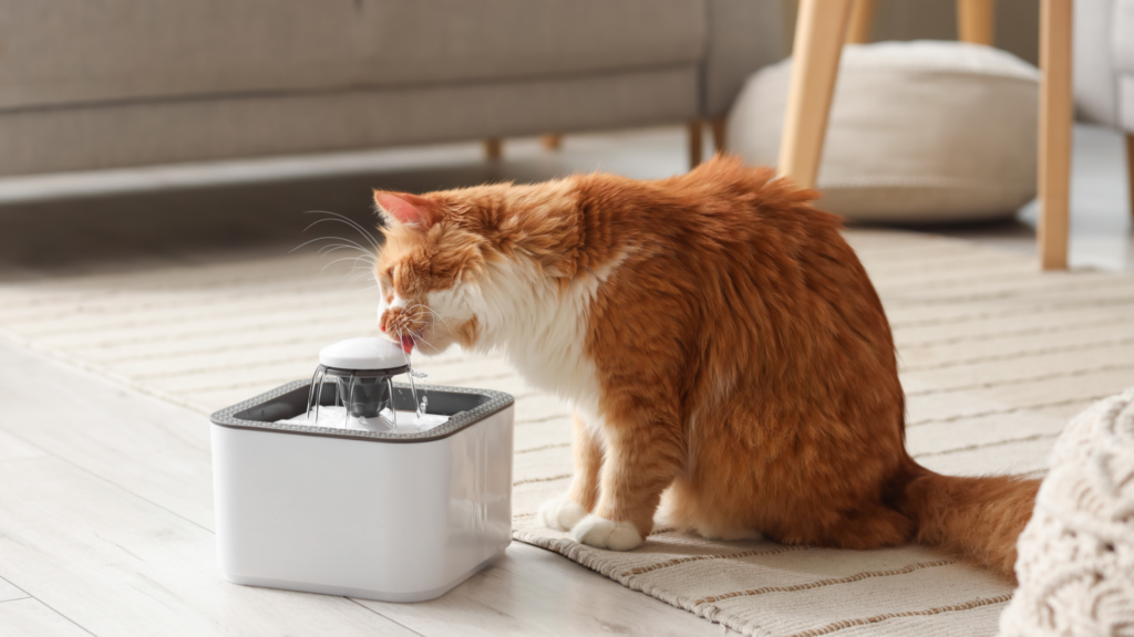 猫用自動給水器おすすめ10選|コードレスやお手入れ簡単な商品を紹介_5