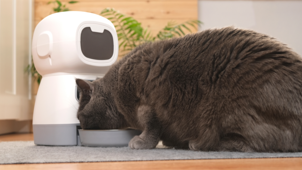 猫用自動給餌器おすすめ10選|正しい選び方や使い方、注意点も解説_3