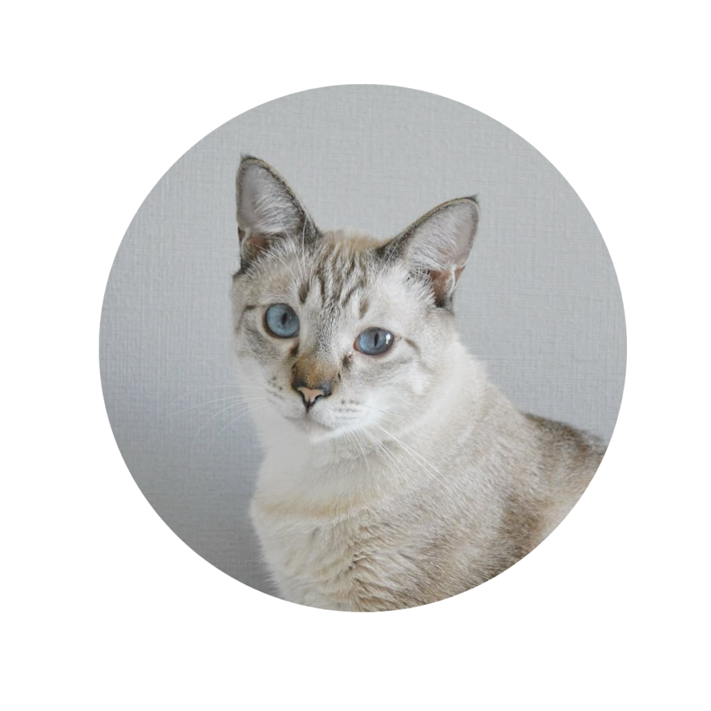 もち