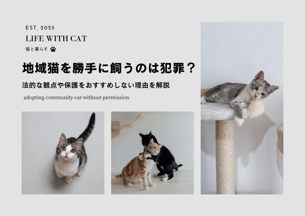 地域猫を勝手に飼うのは犯罪？法的な観点や保護をおすすめしない理由を解説
