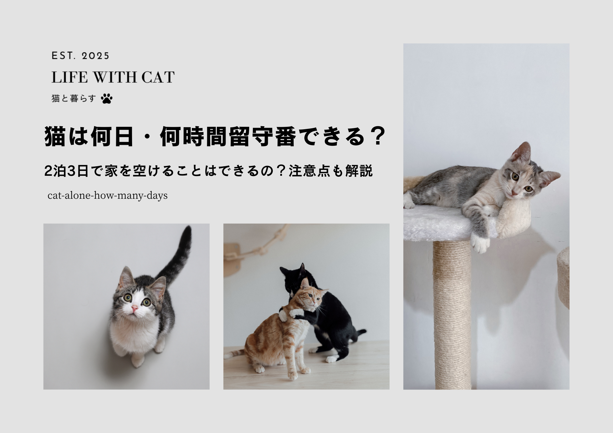 猫は何日・何時間まで留守番できる？2泊3日で家を空けることはできるの？注意点も解説