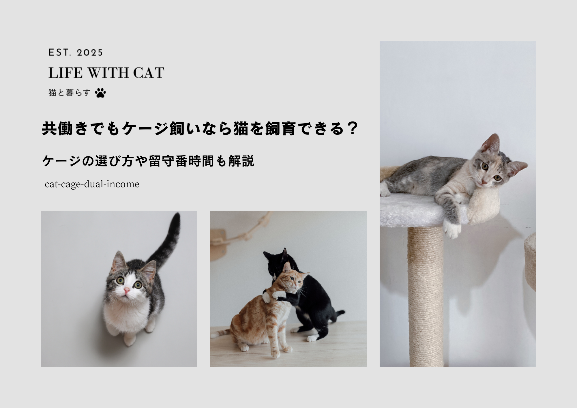 共働きでもケージ飼いなら猫を飼育できる？ケージの選び方や留守番時間も解説
