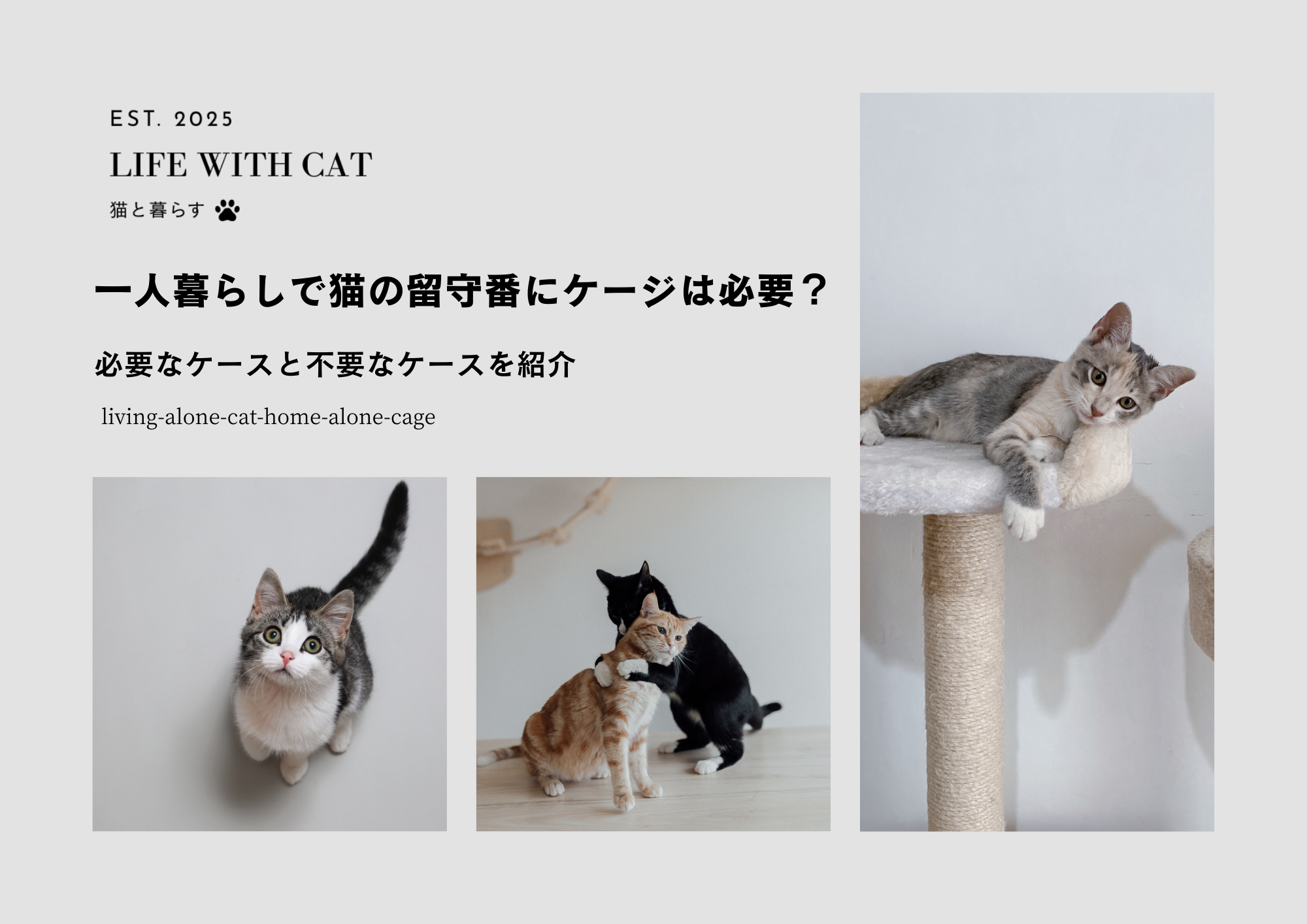 一人暮らしで猫の留守番にケージは必要？必要なケースと不要なケースを紹介